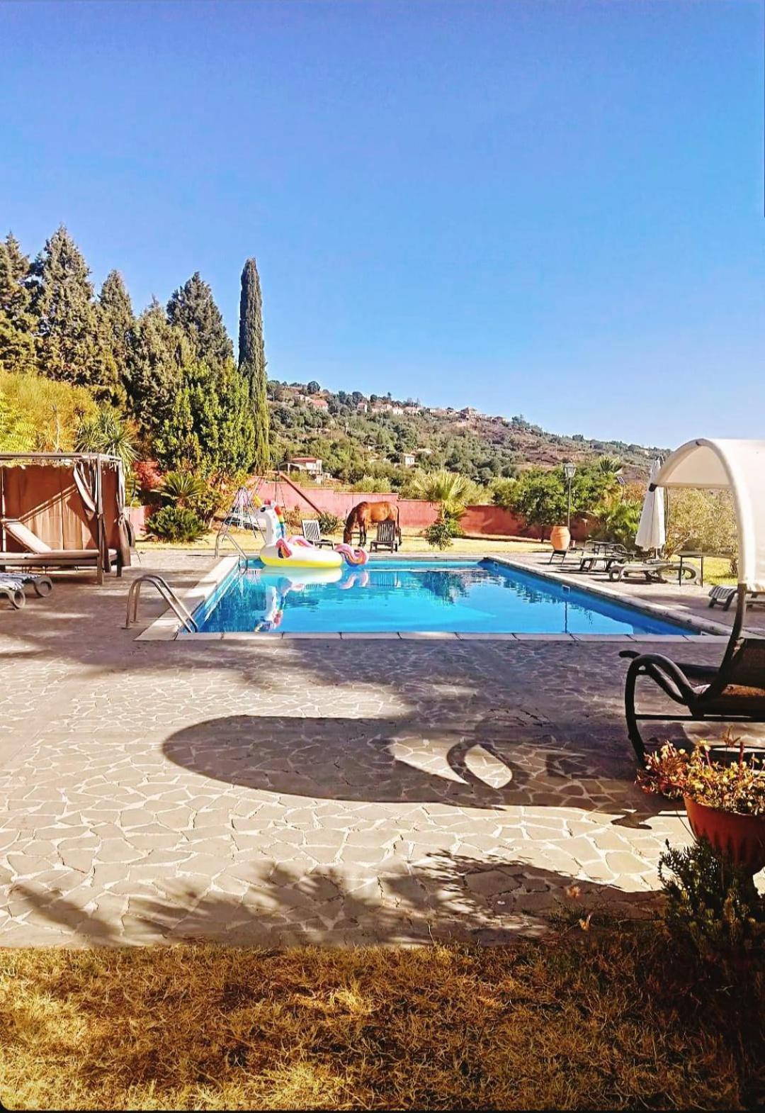 Villa Alessio - Case Vacanza Con Piscina Sull'Etna Puntalazzo Eksteriør billede